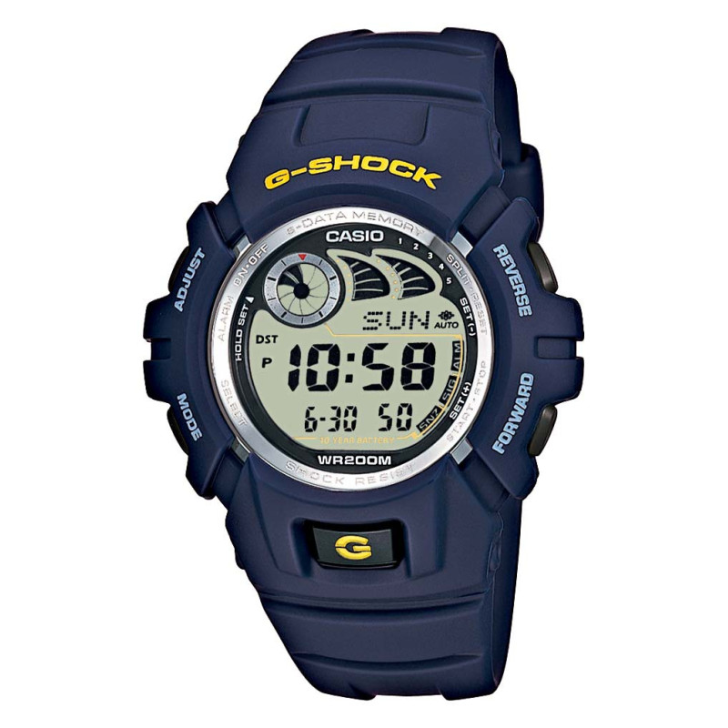 Montre g-2900F-2ver Casio