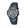 Montre LORUS R2381HX9
